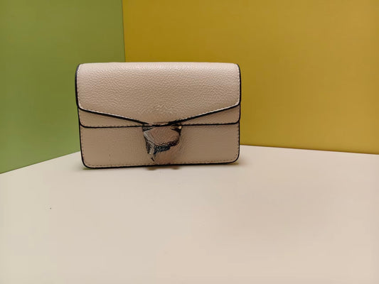 Bolso G Dinosaurio